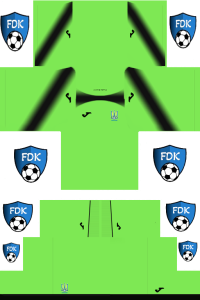 Ukraine FL Kit 2024 GK Away
