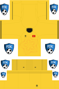 Vietnam FL Kit 2024 GK Away