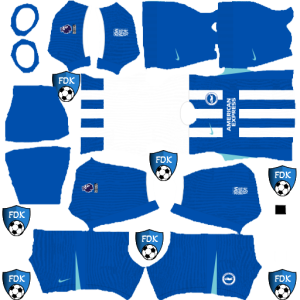 Brighton & Hove Albion DLS Kits 2026